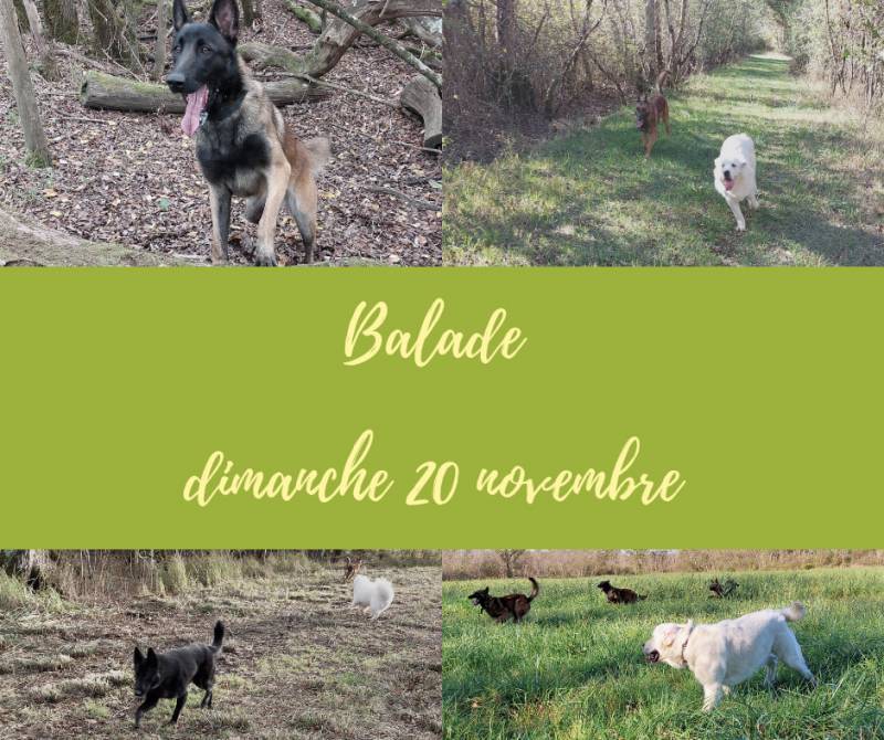 Balade éducative dans la nature